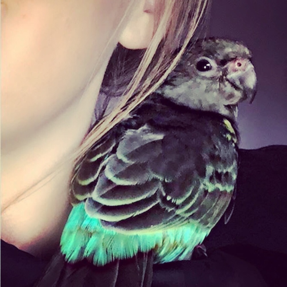 Meet your Posher, Sarah